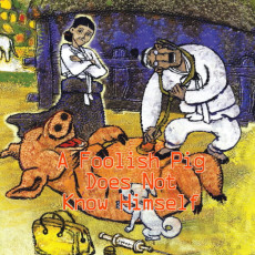 A Foolish Pig Does Not Know Himself