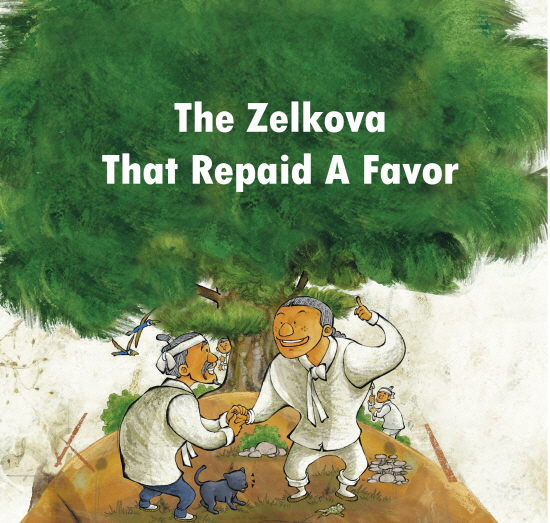 The Zelkova That Repaid A Favor