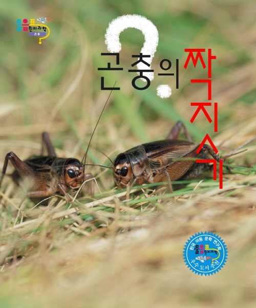 곤충의 짝짓기(잠자리)