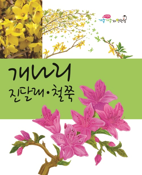 개나리, 진달래, 철쭉