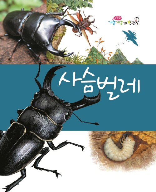 사슴벌레