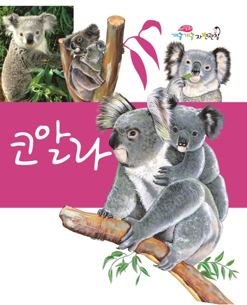 Koalas