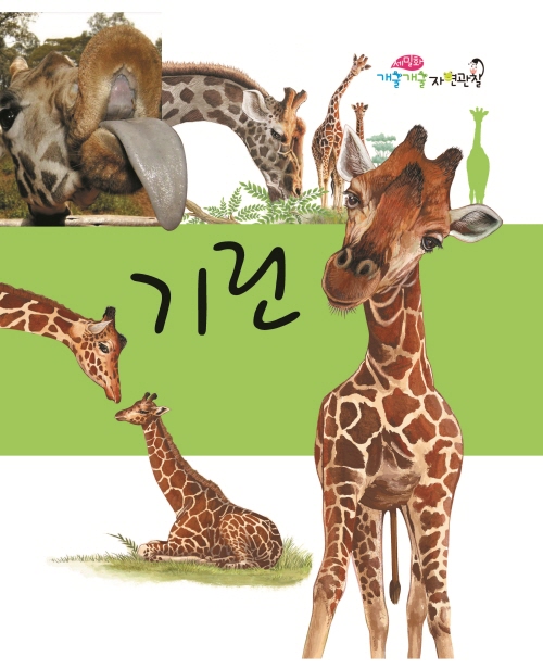 Giraffes
