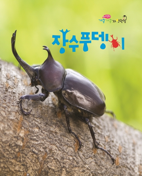 Longicorn Beetles and Dung Beetles