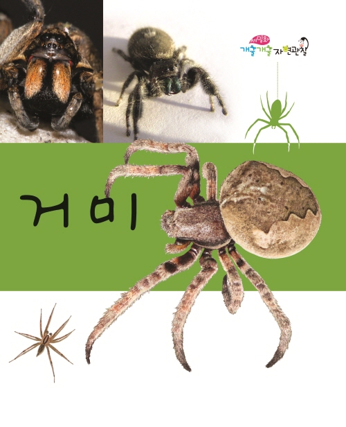 Spiders