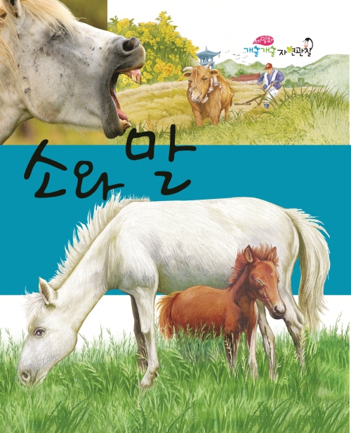 Cows and Horses