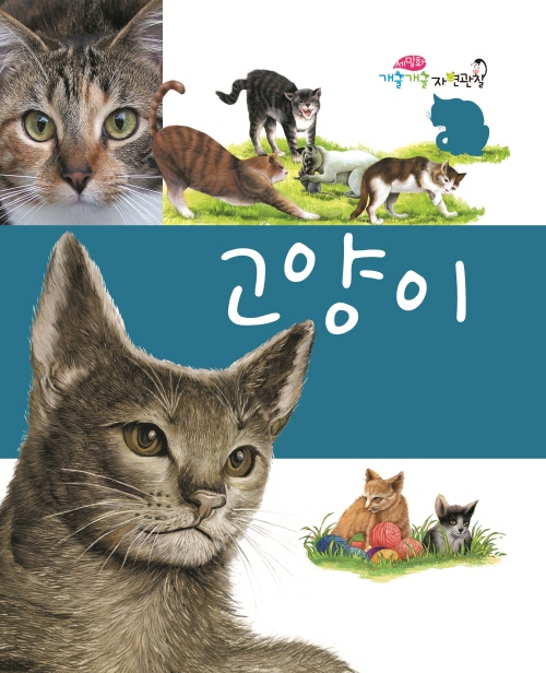 Cats