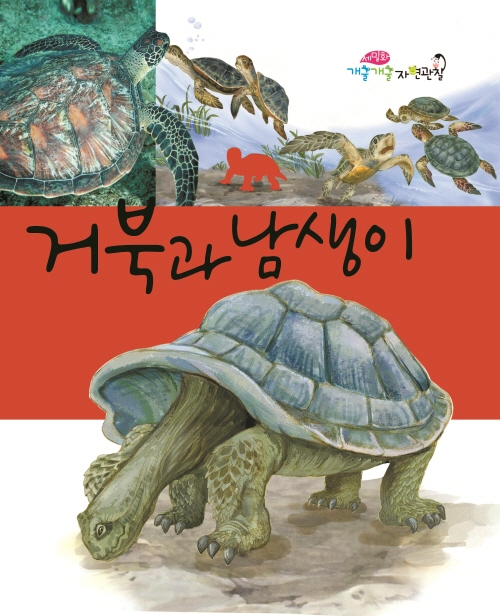 Turtles and Freshwater Tortoises
