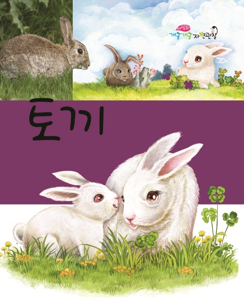 Rabbits