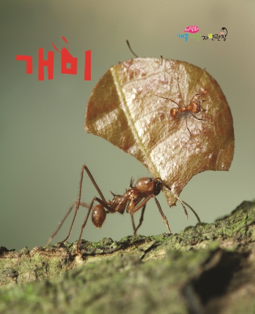Ants