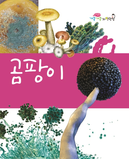 곰팡이