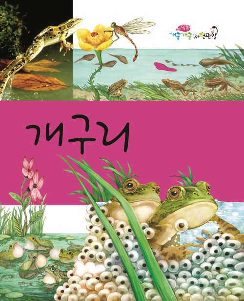 개구리
