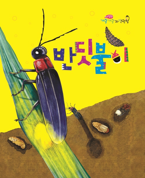 반딧불이