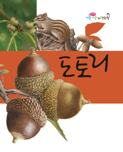 도토리