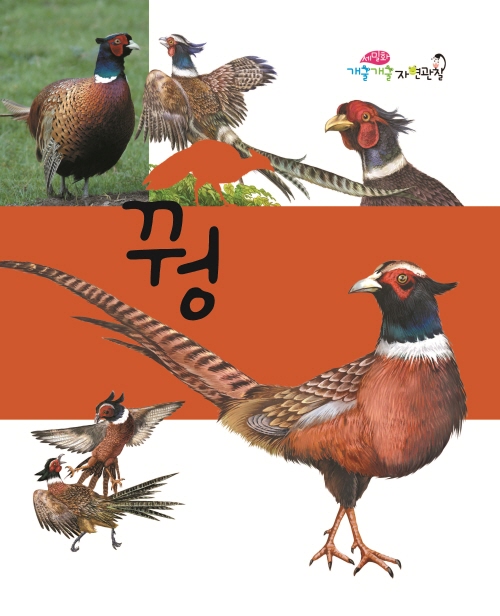 꿩