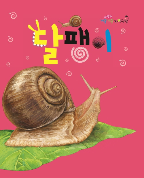 달팽이