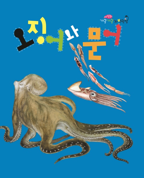 오징어와 문어