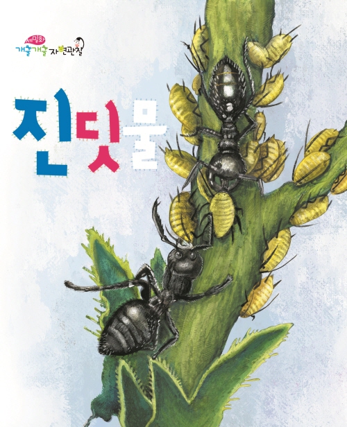진딧물