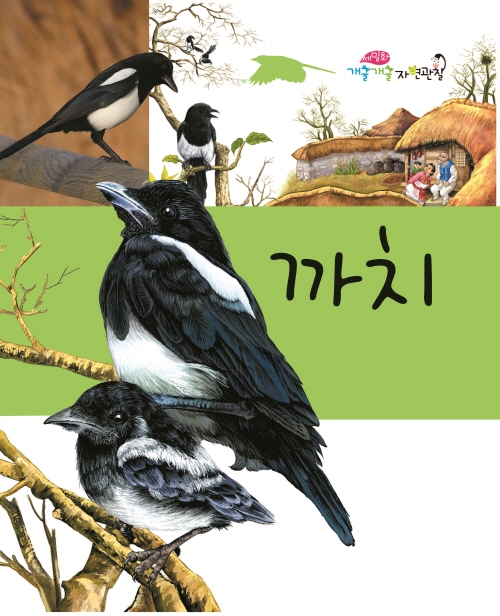 까치