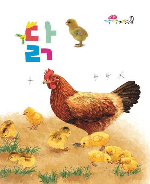 닭