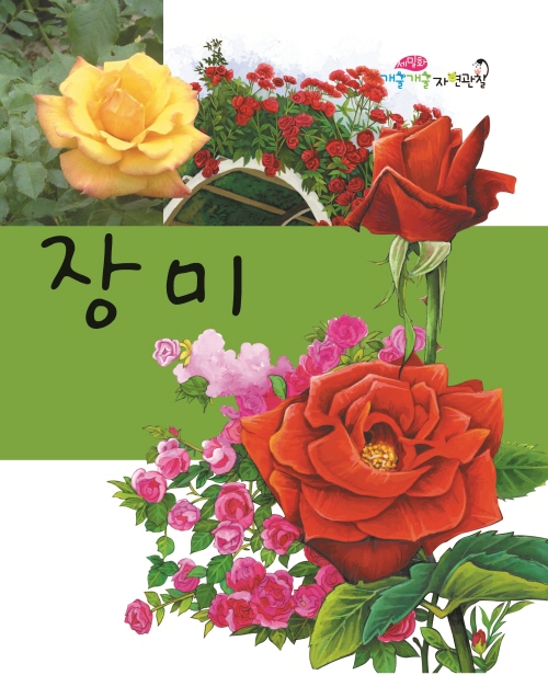 장미