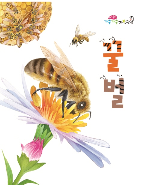 꿀벌
